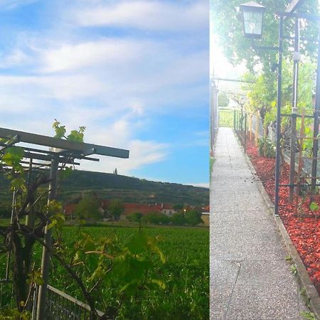 Pansion Brda Daire Rohrendorf bei Krems Dış mekan fotoğraf