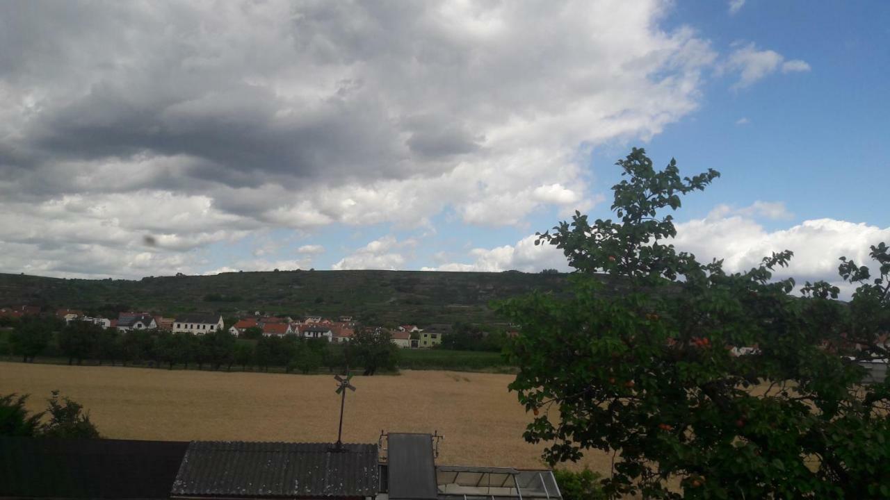 Pansion Brda Daire Rohrendorf bei Krems Dış mekan fotoğraf